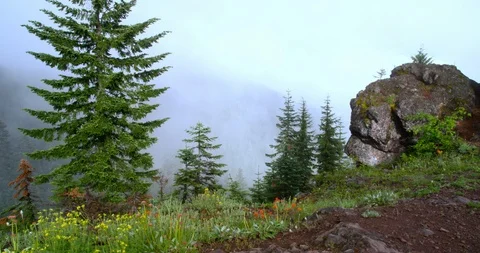 Summer storm passing through rugged terrain below Mt. Jefferson in Oregon Stock Footage 86538104