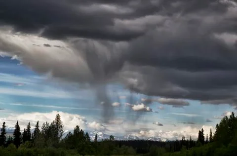 Summer storm Stock Photos