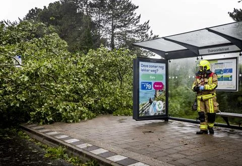 Summer storm Poly causes KNMI to issue code red weather warning, Haarlem, Nether Foto stock