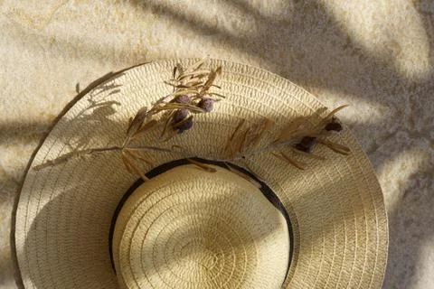 Summer straw hat, olive tree branch with olives and shadow of palm leaves. Stock Photos