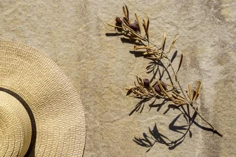 Summer straw hat, olive tree branch with olives and shadow of palm leaves. Stock Photos