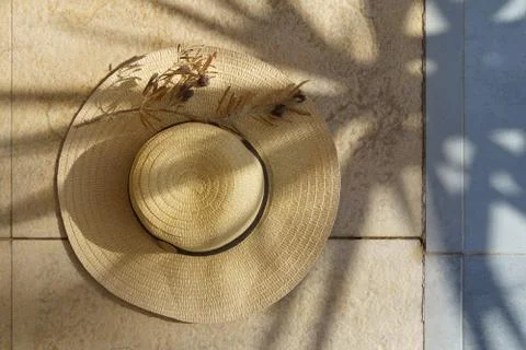 Summer straw hat, olive tree branch with olives and shadow of palm leaves. Stock Photos