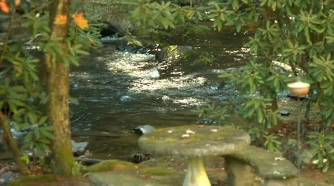Summer Stream (1080-24FPS).mp4 Stock Footage 10975983