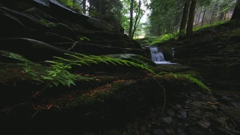 Summer stream Stock Footage 112338684