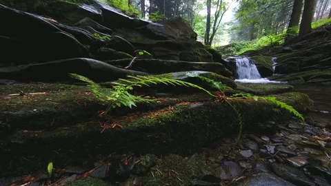 Summer stream Stock Footage 112338707