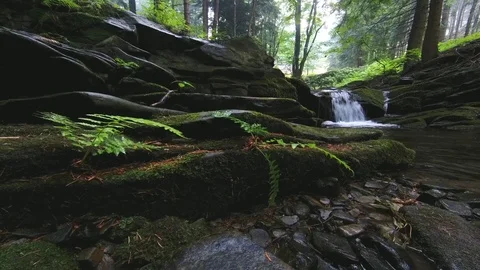 Summer stream Stock Footage 112338717