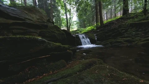 Summer stream Stock Footage 112338912