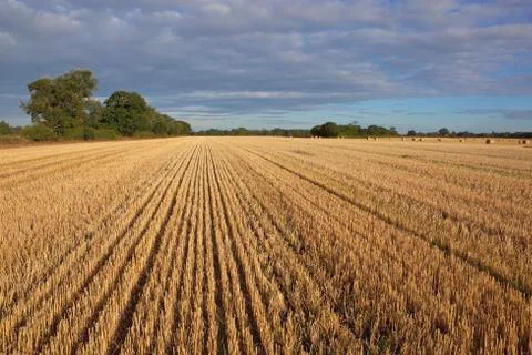 Summer stubble field Stock Photos