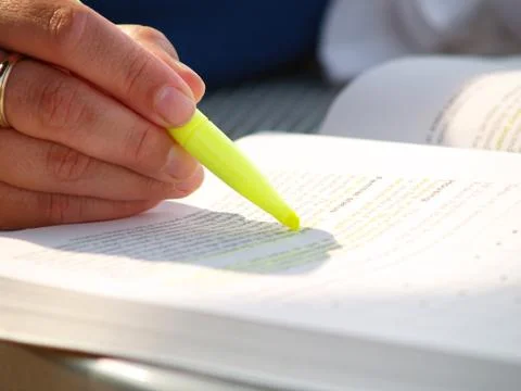 Summer studying Fotos Stock