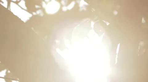 Summer sun and chimes Stock Footage 41313829
