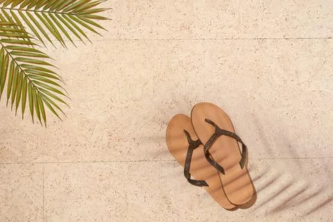 Summer sun beach concept flat lay. Palm leave and beach shoe Stock Photos