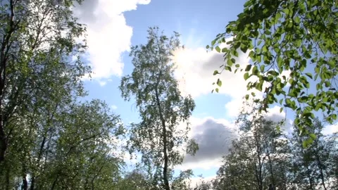 Summer sun Stock Footage 170056429