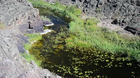 The summer sun illuminates a small river flowing slowly among the gorge. Video stock 139128233