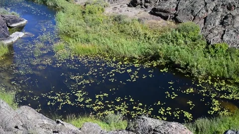 The summer sun illuminates a small river flowing slowly among the gorge. Video stock 139128234
