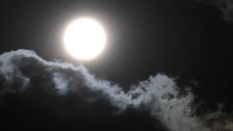 Summer Sun Impressions, Germany Stock Footage 138326447