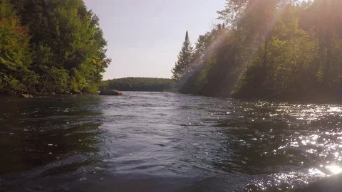 Summer sun reflects off of a river Stock Footage 81921297