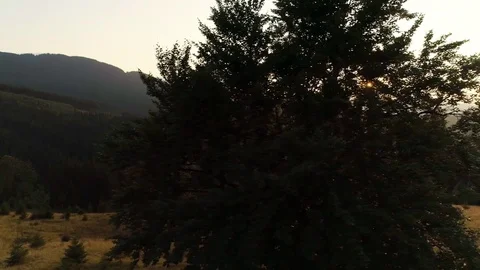 Summer sun rises behind the mountain. Sun shining through the branches of a tree 스톡 동영상 80192193