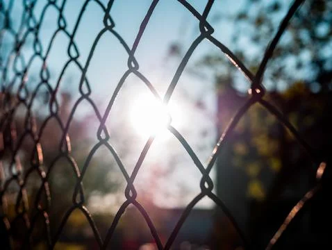Summer sun shining through wire mesh fence in spring Stockfoto's