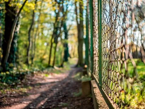Summer sun shining through wire mesh fence in spring Foto stock