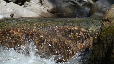 In the summer sun, water flows over the rocks of a mountain stream (slow motion) 스톡 동영상 219418731