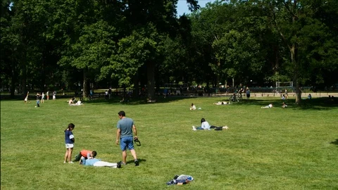 Summer sunbathing on the Sheep Meadow Vidéo 86221006