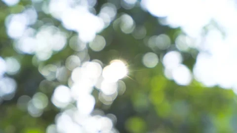 Summer Sunlight Backlight With Soft Bokeh Patterns 4K Stock Footage 341862616