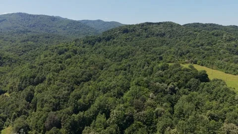 Summer sunlight on a green forest canopy in the Bulgarian mountains Stock-Footage 344629955
