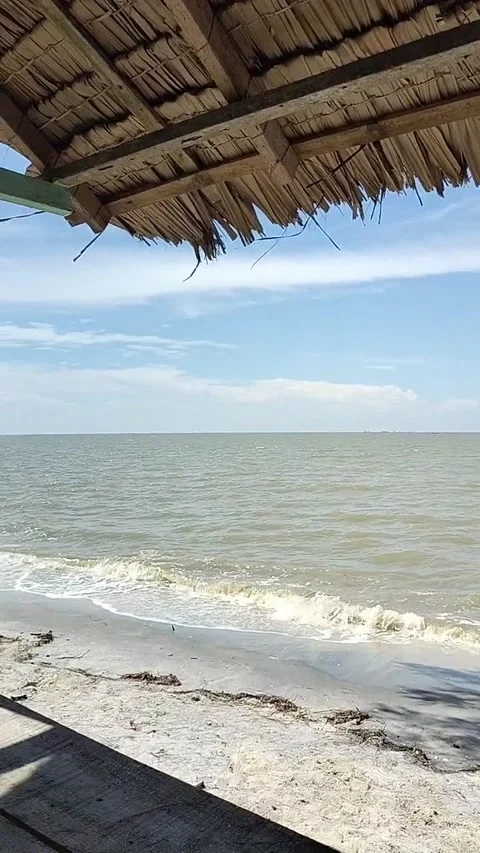 Summer sunny in beach 스톡 동영상 203885705