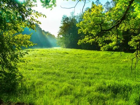 Summer sunny day Stock Photos