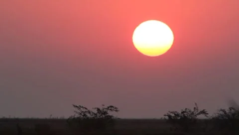 Summer sunrise on the lake with a water bird singing Stock Footage