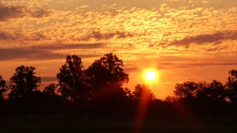 Summer Sunrise Time-lapse over tree-line - with fog Stock Footage 100333863