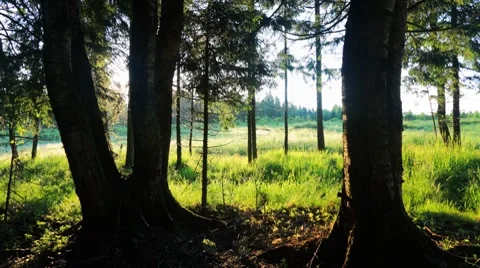 Summer sunrise timelapse 库存影片 7730189