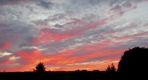 Summer sunset and clouds on the background of trees Stock Photos