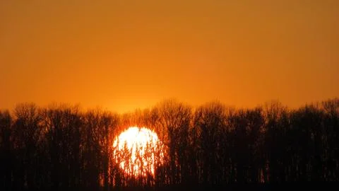 Summer sunset and clouds on the background of trees Stock Photos