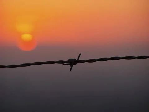 Summer sunset between barbed wire. Stock Photos