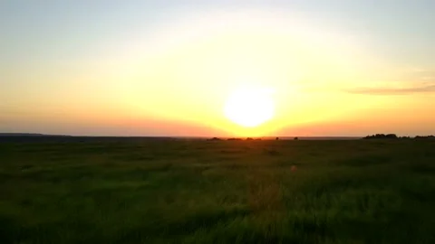 Summer sunset in the field . Evening light. The video is above the field. 4K Stock Footage 164362095