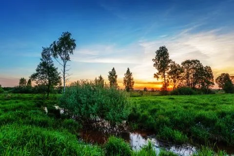 Summer sunset field Stock Photos