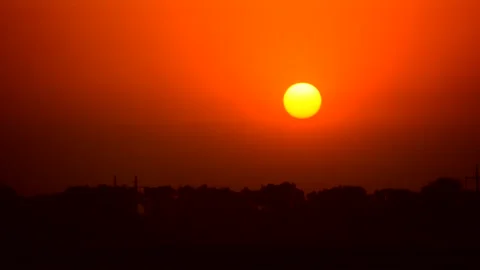 Summer sunset in a field with trees Stock Footage 264578515
