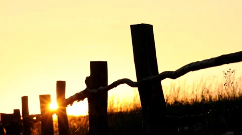 Summer sunset 스톡 동영상 1806302