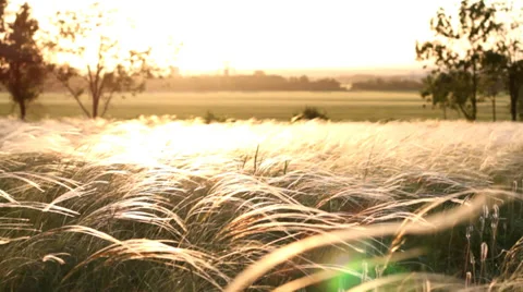 Summer Sunset Stock Footage 33217586