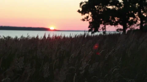 Summer sunset Video stock 34026368