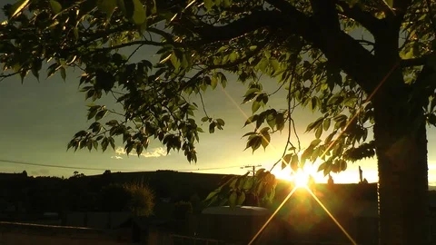 Summer sunset Stock Footage
