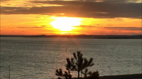 Summer Sunset over Boston harbor Video stock 37879791
