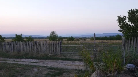 Summer Sunset Over Corn Field Stock Footage 79749847