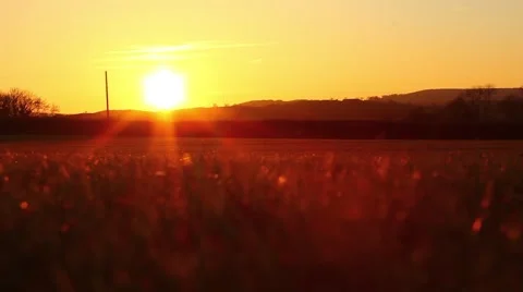 Summer sunset over field 스톡 동영상 48975829