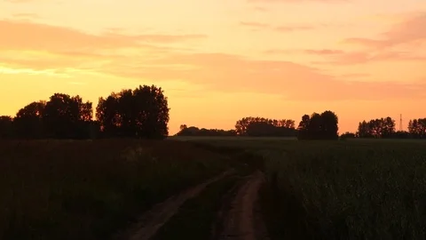 Summer sunset over the field Stock Footage 119873636