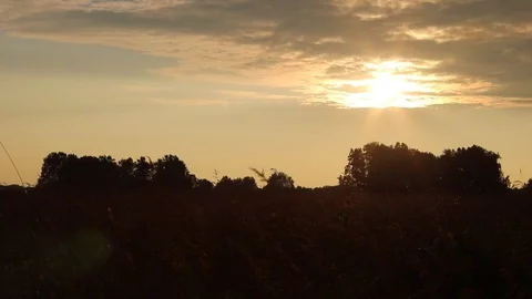 Summer sunset over the field Stock Footage 119873791