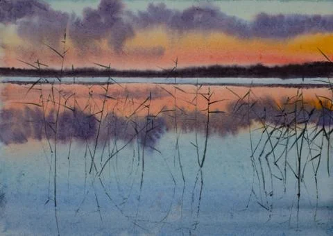 Summer sunset over the lake Stock Illustration