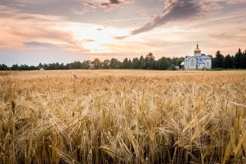 Summer sunset over an open field in Ukraine with a church visible on the hori Stockfoto's