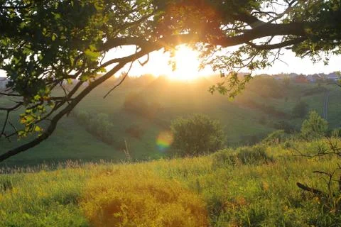 Summer sunset. Stock Photos